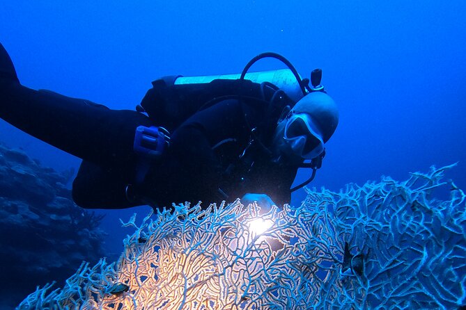 2 Hour Private Night Diving in the Red Sea of Aqaba - Frequently Asked Questions