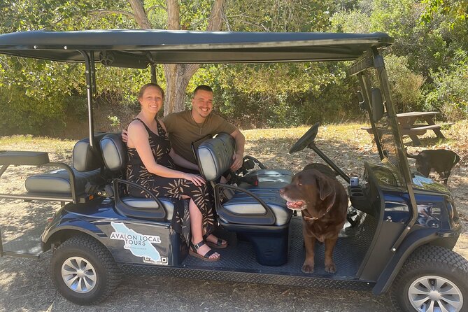 2 Hour Private Tour of Avalon - Exploring Avalons Highlights