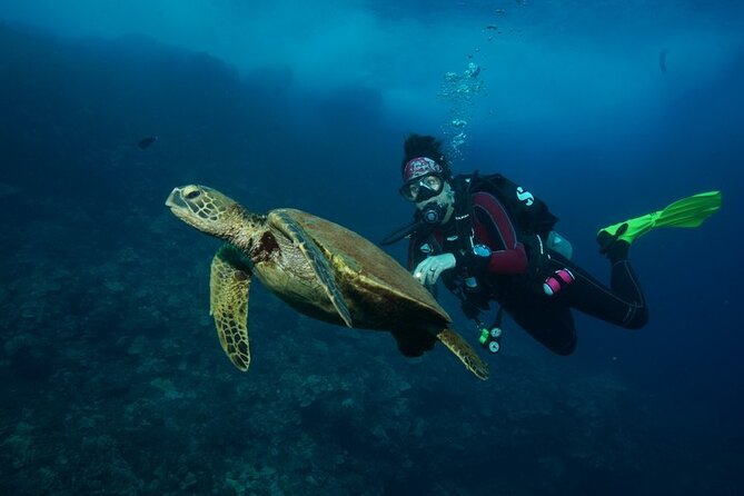 2-Tank Maui Turtle Scuba Dive or Snorkel Boat Tour - Additional Considerations