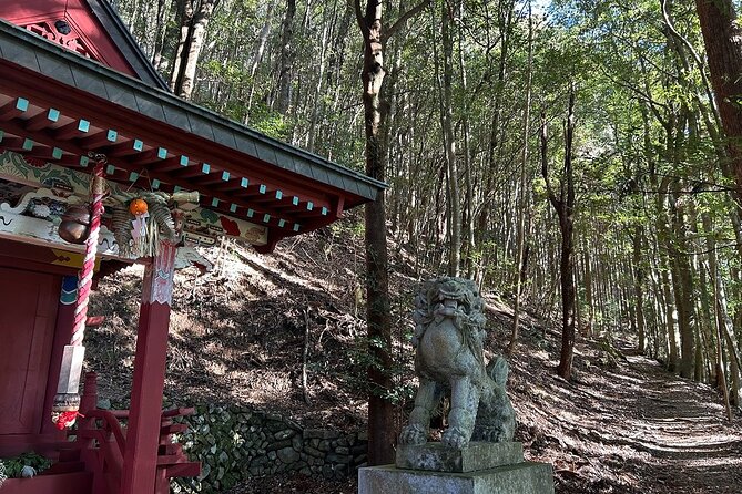 3 Day Kumano Kodo Pilgrimage Route Walking Tour From Osaka - Customization and Flexibility