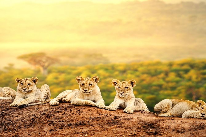 3 Days 2 Nights Tsavo East Taita Hills Game Sanctuary on Stilts - Frequently Asked Questions