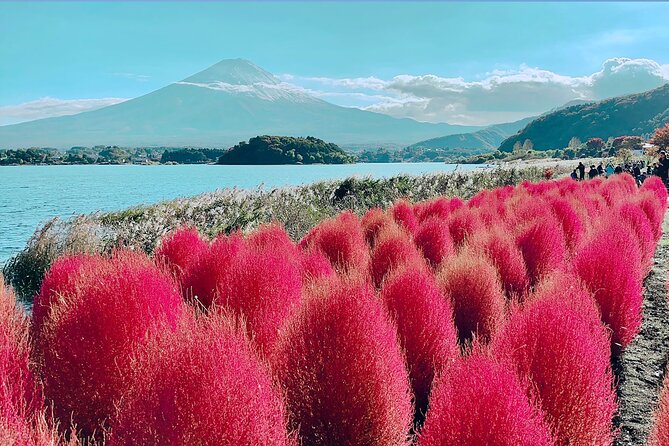 3 Days Tokyo, Mount Fuji and Nikko Private Tour - Discovering Mount Fuji