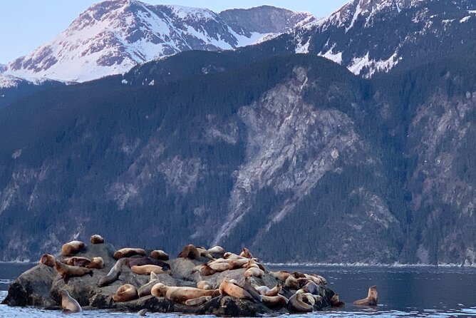 3 Hour Alaska Waterfalls Tour - Memorable Experiences
