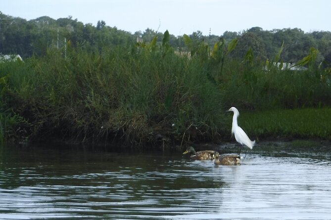 3 Hour Crystal River Wildlife Safari Boat Cruise - Frequently Asked Questions