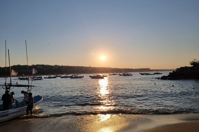 3-Hour Dolphin Watching Experience in Puerto Escondido - Booking Your Dolphin Watching Tour