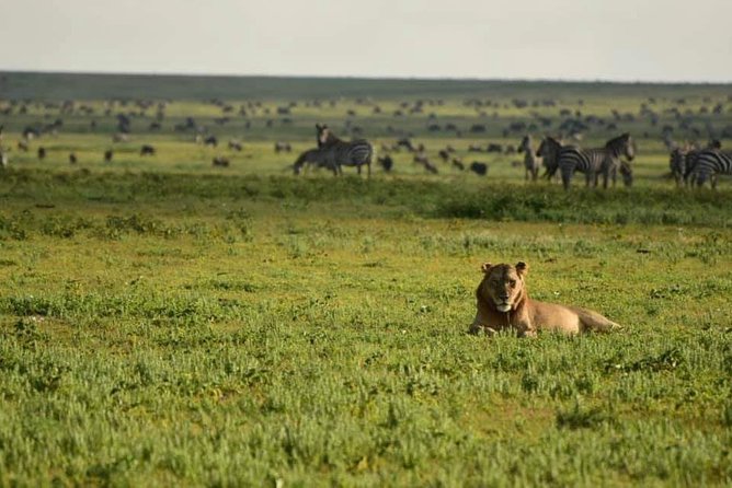 3days Tarangire,Ngorongoro Crater and Lake Manyara - Frequently Asked Questions
