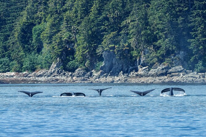 4 Course Dinner Cruise Plus Eco Tour on Luxury Yacht in Sitka - Eco-Friendly Initiatives