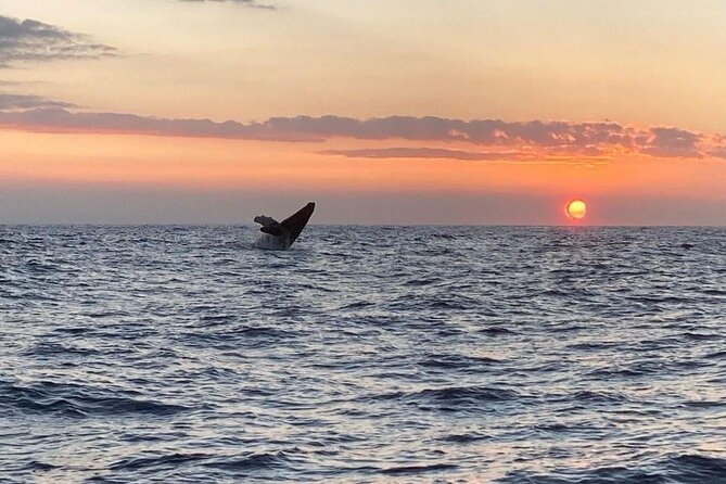 4 Hour Private Sunset Fishing Charter - Planning Your Sunset Fishing Adventure