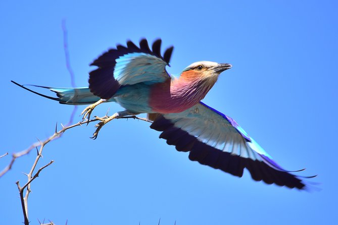 5 Day Wildlife Photographic Safari - Kruger National Park - B1 Photo Safaris - Frequently Asked Questions