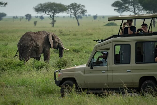 5 Days Serengeti Camping Safari - Booking and Cancellation Policy