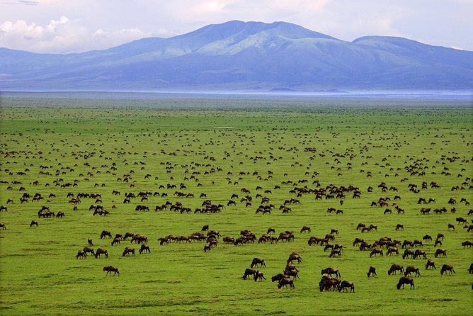 6 Days / 5 Nights Join Group Safari - Frequently Asked Questions