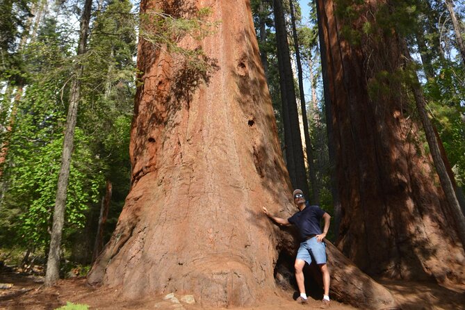6 Days- Golden West and Utah Parks - Important Terms and Conditions