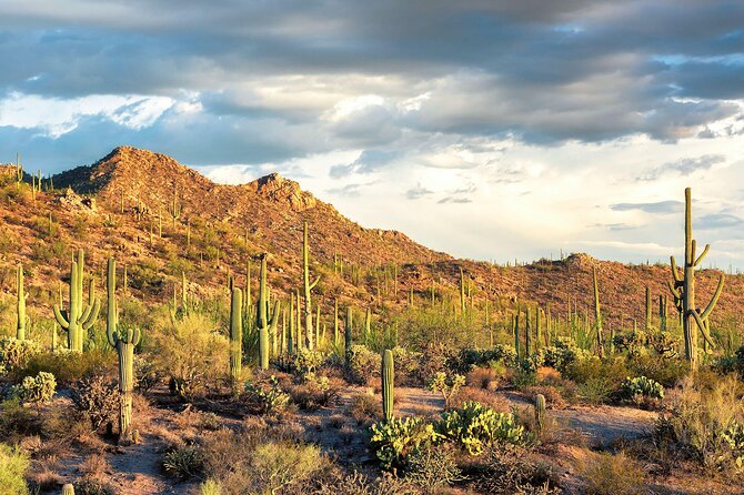 7-Day Tour Across Los Angeles,Phoenix, Sedona, and Las Vegas - Additional Tips