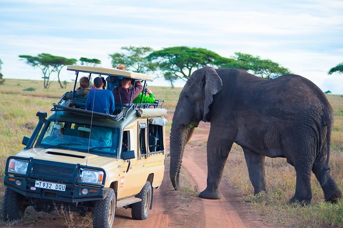 7 Days Lodge Safari. - Frequently Asked Questions