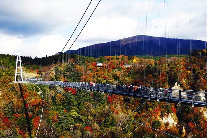 8-Day ONE WAY Bus Tour to Osaka From Fukuoka via BEPPU & SHIKOKU - Highlights of the Tour