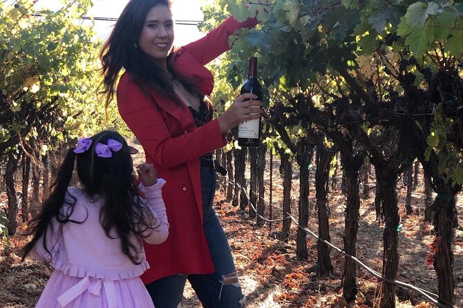 8 Hours 12 Passengers Limo Bus for Napa or Sonoma Wine Tour - Tips for a Great Experience