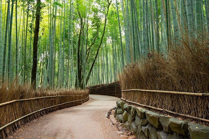 8 Hours Arashiyama Monkey Park Ryoanji and Kinkaku Ji Tour - Frequently Asked Questions
