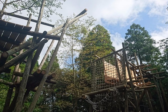 Aerial Athletics (Zipline Adventure) - Pricing and Lowest Price Guarantee