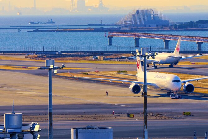 Airport Transfer Between Narita and Mount Fuji or Hakone Onsen - Why Choose This Experience