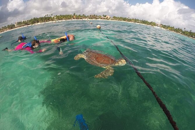 Akumal ,turtles and Gopro - Essential Amenities for Visitors