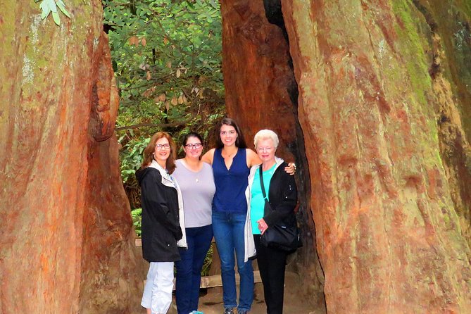 Alcatraz, Muir Woods & Sausalito Tour Review - The Sum Up