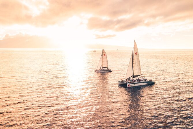 Alihilani Sunset Sail From Maalaea Harbor - Accessibility and Participation