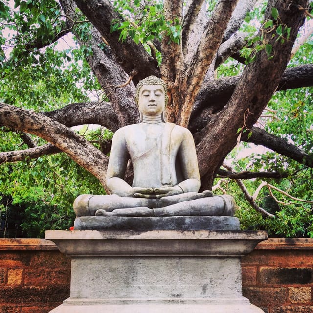 All Include Full-Day Sigiriya, Dambulla, Pidurangala Private - Pidurangala Cave Temple