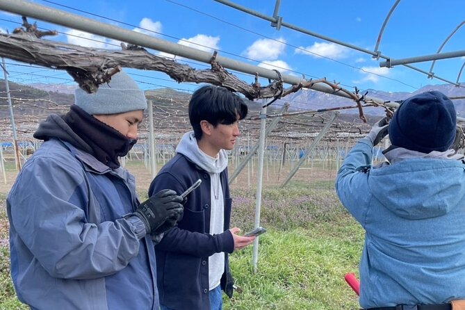 All Inclusive Sake BRE and Winery Tour With View of Mt. Fuji - Exploring the Winery