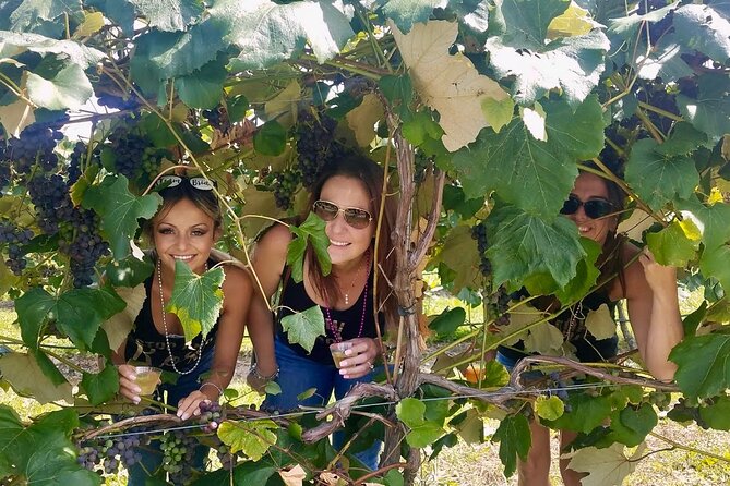 All Inclusive VIP Wine or Beer Tour Review - Participants Experiences