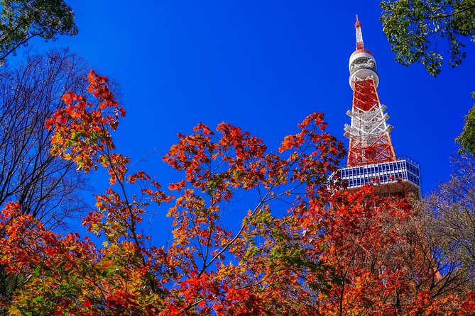 All Inclusive・Private Tour Make Your Own Tokyo Adventure - Booking and Cancellation Policy