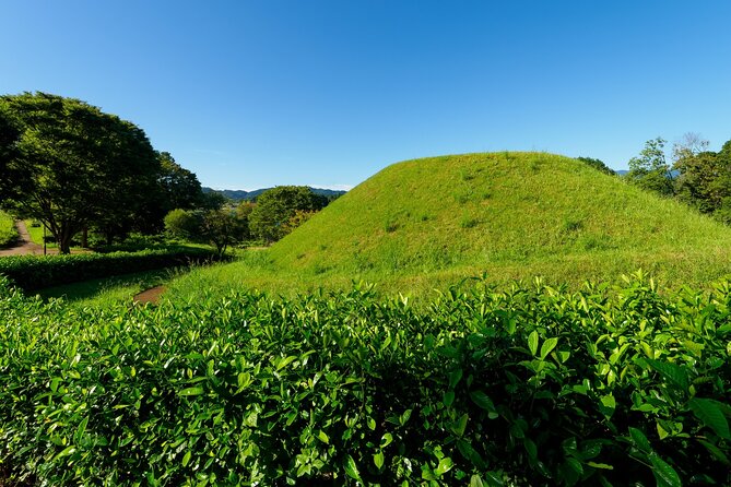 Ancient Nara Walking and Cycling Tour in Asuka - Lunch in a Traditional Setting