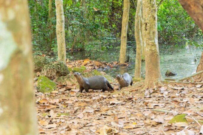 Angkor Bike Tour & Gondola Sunset Boat W/ Drinks & Snack - Booking Information