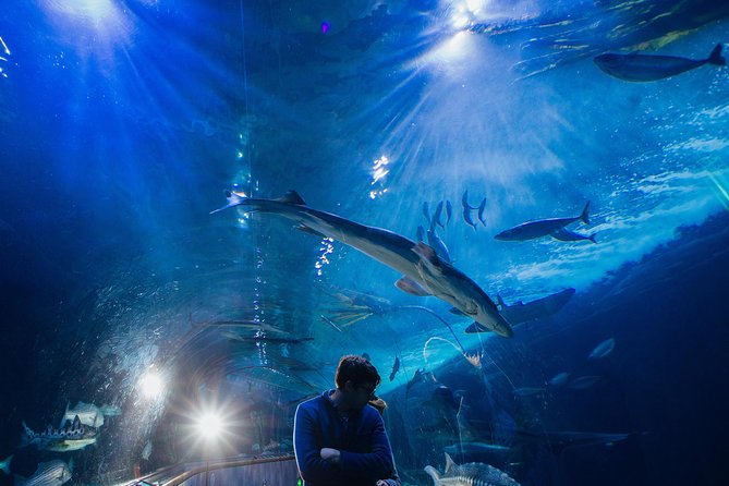 Aquarium of the Bay General Admission Ticket - Accessibility and Accommodations