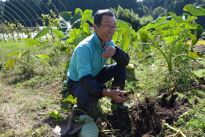 Aso Cycling and Farming Private Tour - Booking and Flexibility