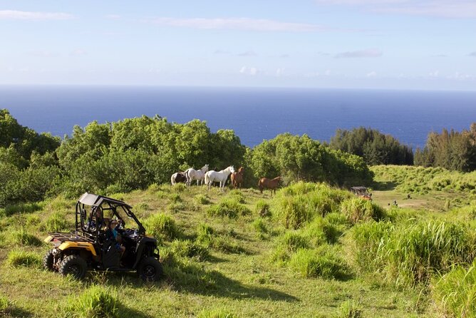 ATV Ranch Ride Big Island Hawaii - Preserving the Hawaiian Ranching Tradition