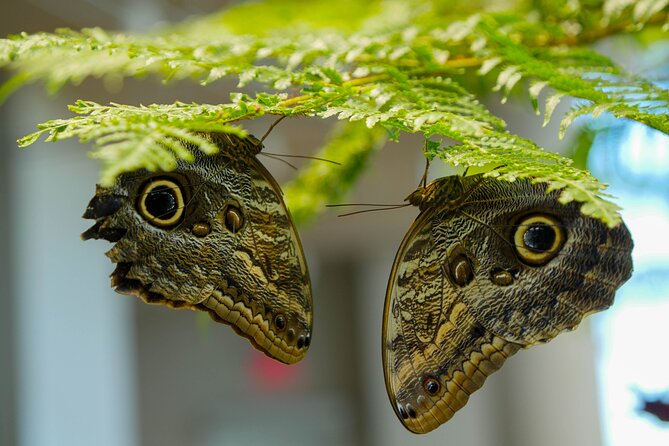 Audubon Aquarium & Insectarium Ticket - Hours of Operation