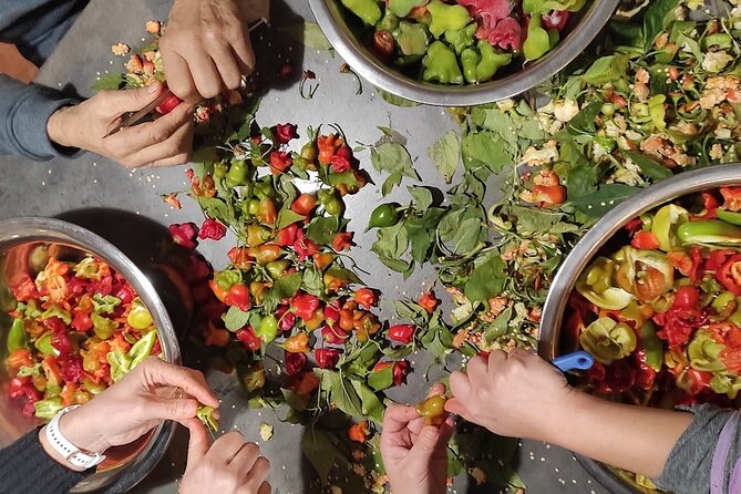Authentic Garden to Table Cooking Class in Dubrovnik Countryside - Pricing and Reviews