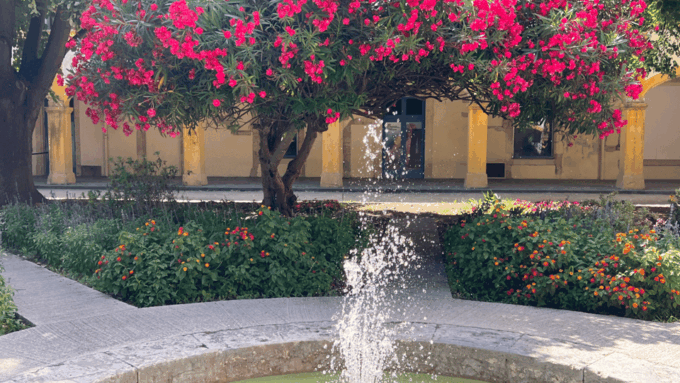 Authentic Provence: Arles, St Rémy, Les Baux-de-Provence - Optional Tastings and Picnics