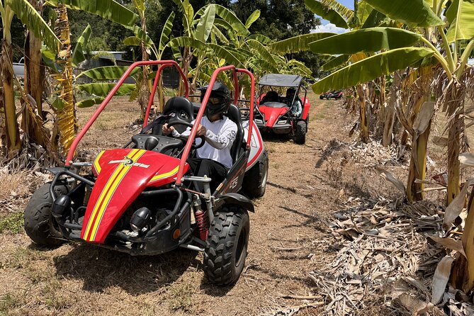 Bamboo Dune Buggy Tour - Preparing for the Excursion
