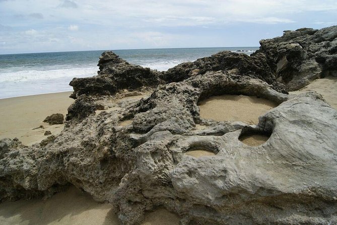 Beaches Dolphins And Viewpoints Discovering The Hidden Port By Sea And Land - Pricing and Booking Information