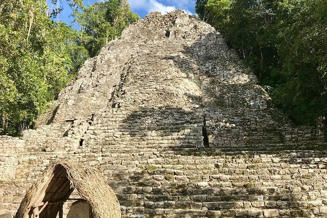 Best Tour to Tulum, Coba, Cenote and Playa Del Carmen - Traveler Experiences and Feedback