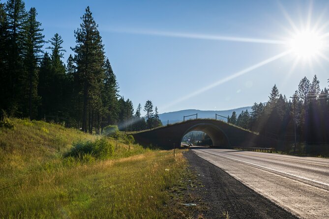 Big Sky Drive Audio Tour Review - Environmental Perspectives and Considerations