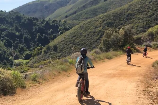 Big Surs Old Coast Road Ebike Tour - Redwood Forest Adventure