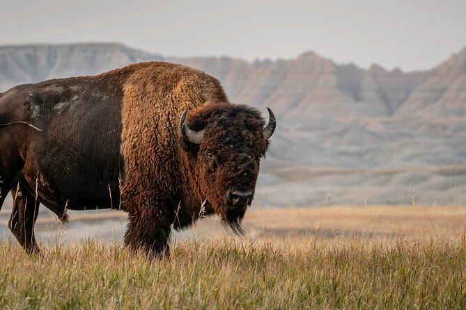 Black Hills Self Guided Driving Audio Tour - Exploring the Rich History