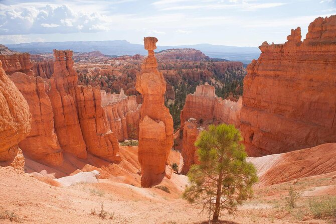 Bryce Canyon and Zion National Park Tour in Las Vegas - Tips for a Great Experience