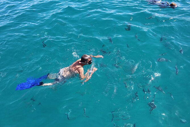 Cabo San Lucas Pirate Snorkel Tour - Tips for Your Snorkel Tour