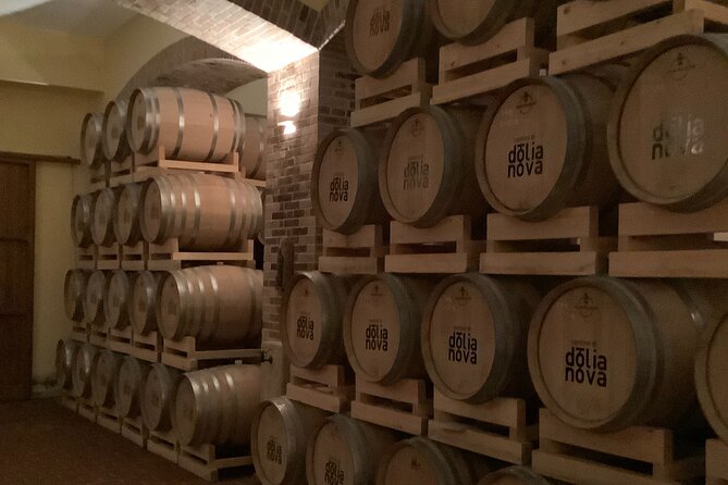 Cagliari: Visit a Winery With a Sommelier - Discovering Sardinian Viticulture