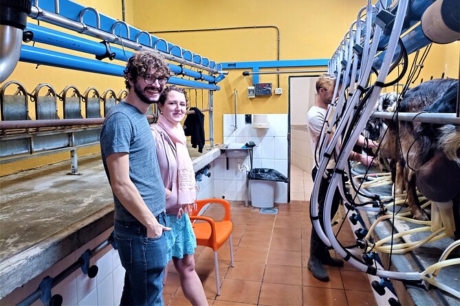 Canarian Animal Farm Car Tour. Goat Cheese and Local Wine. - Booking and Cancellation Policy