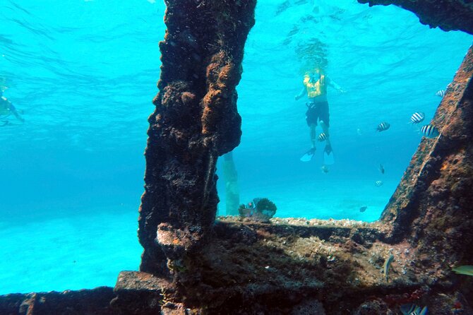 Cancun Snorkeling Tour: Swim With Turtles, Reef, Underwater Museum and Shipwreck - Booking and Cancellation Policies