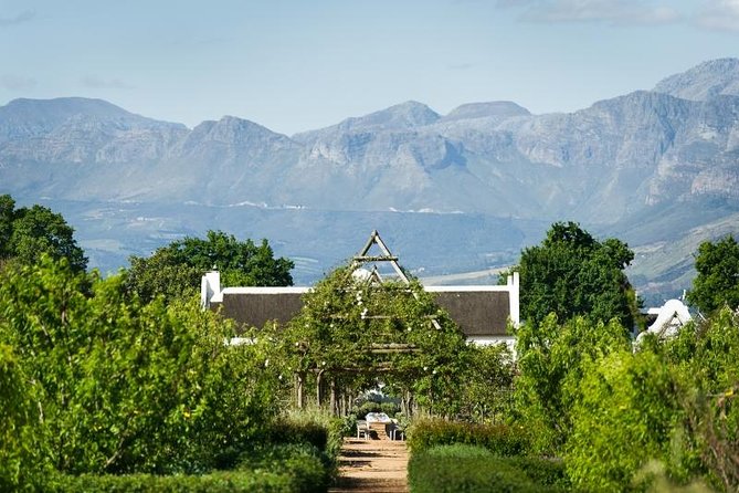 Cape Winelands Guided Day Tour From Cape Town - Booking and Preparation Tips